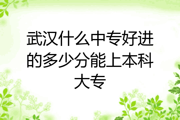 武汉什么中专好进的多少分能上本科大专
