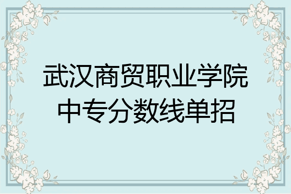 武汉商贸职业学院中专分数线单招