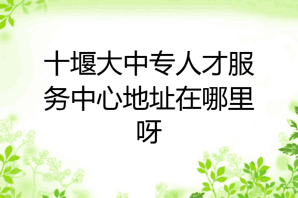 十堰大中专人才服务中心地址在哪里呀