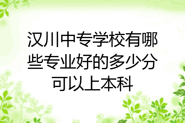 汉川中专学校有哪些专业好的多少分可以上本科