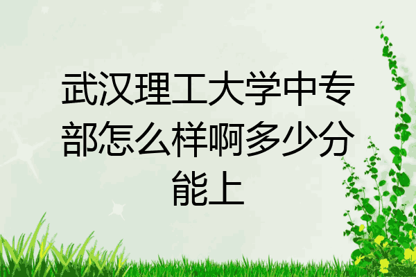 武汉理工大学中专部怎么样啊多少分能上