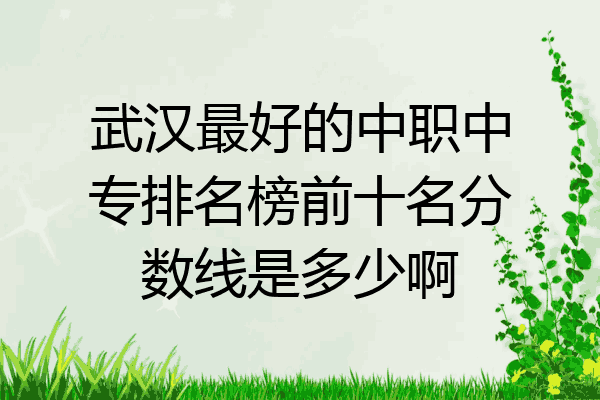 武汉最好的中职中专排名榜前十名分数线是多少啊