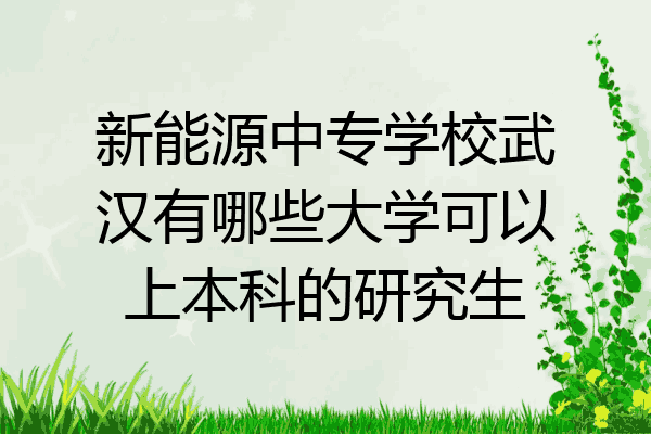 新能源中专学校武汉有哪些大学可以上本科的研究生