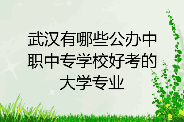 武汉有哪些公办中职中专学校好考的大学专业