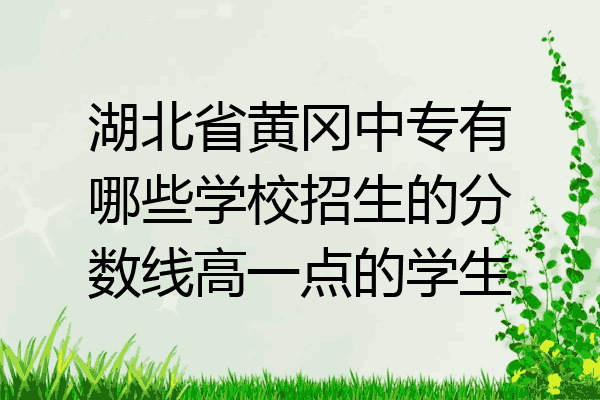 湖北省黄冈中专有哪些学校招生的分数线高一点的学生
