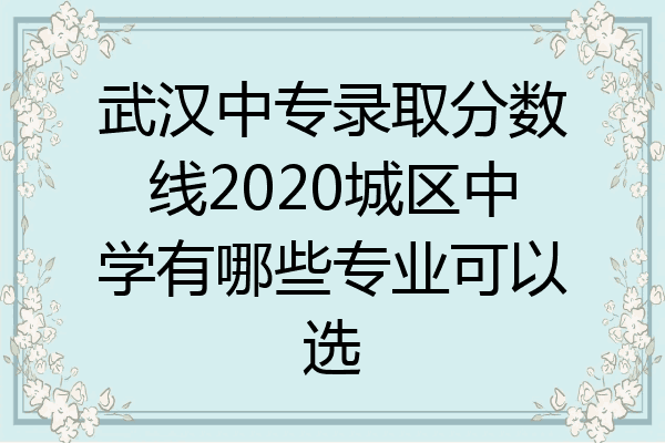 武汉中专录取分数线2020城区中学有哪些专业可以选
