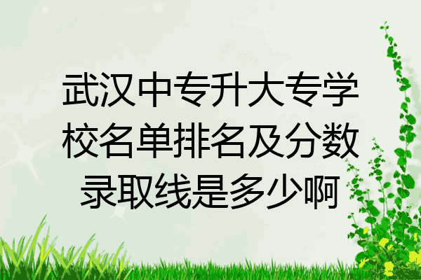武汉中专升大专学校名单排名及分数录取线是多少啊