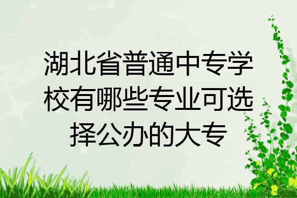 湖北省普通中专学校有哪些专业可选择公办的大专