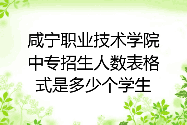 咸宁职业技术学院中专招生人数表格式是多少个学生