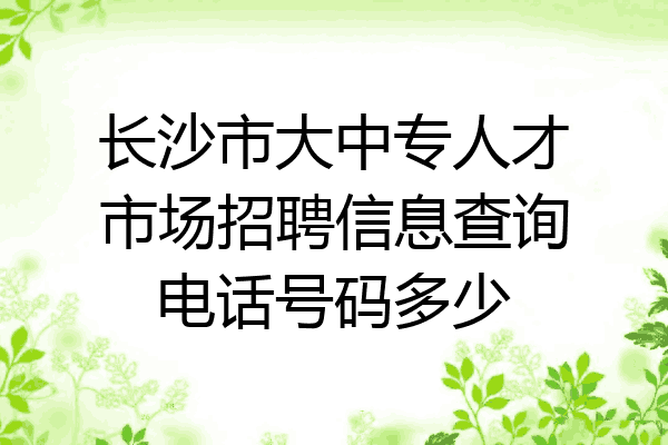 长沙市大中专人才市场招聘信息查询电话号码多少