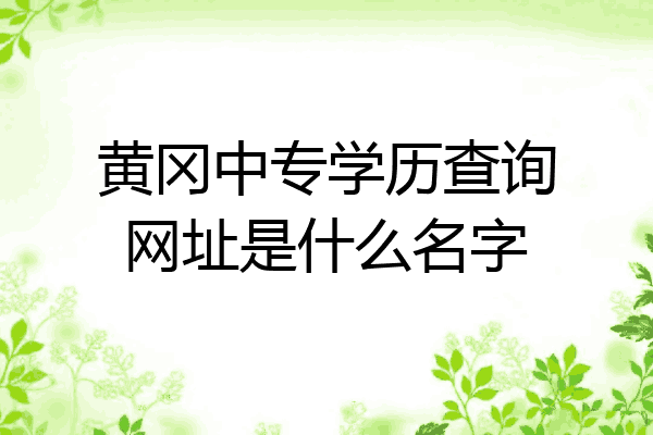 黄冈中专学历查询网址是什么名字