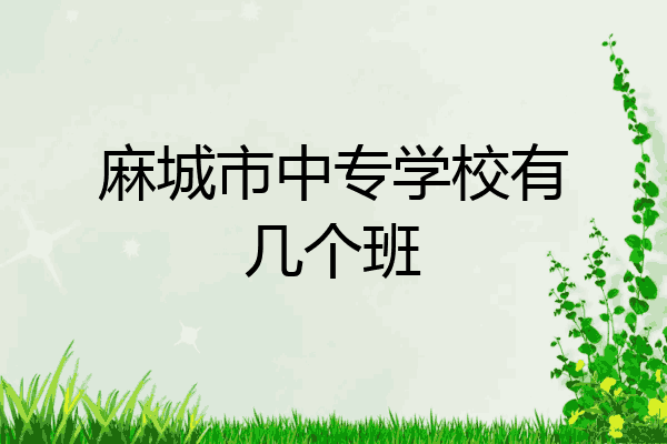 麻城市中专学校有几个班