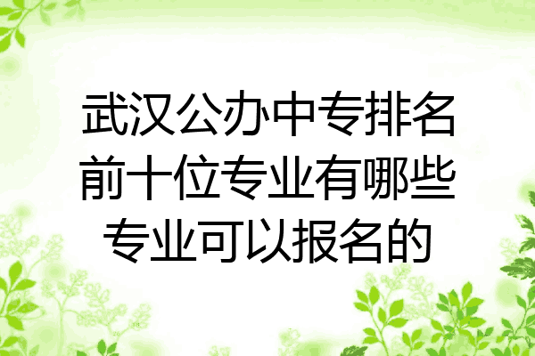 武汉公办中专排名前十位专业有哪些专业可以报名的
