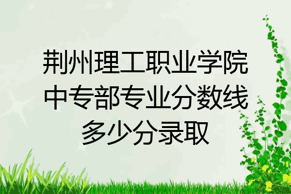 荆州理工职业学院中专部专业分数线多少分录取