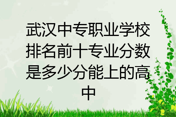 武汉中专职业学校排名前十专业分数是多少分能上的高中