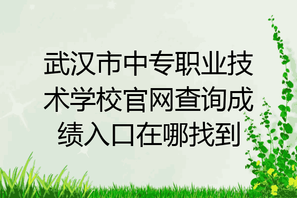 武汉市中专职业技术学校官网查询成绩入口在哪找到
