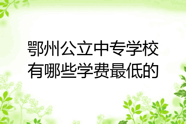 鄂州公立中专学校有哪些学费最低的