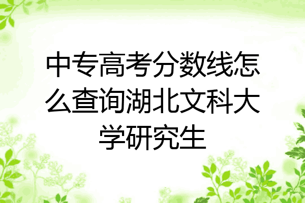 中专高考分数线怎么查询湖北文科大学研究生