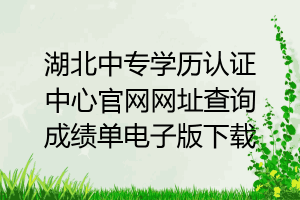 湖北中专学历认证中心官网网址查询成绩单电子版下载