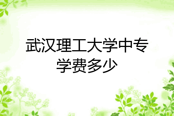 武汉理工大学中专学费多少