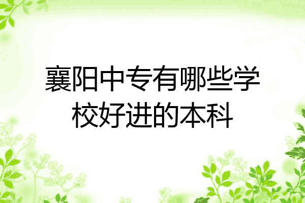 襄阳中专有哪些学校好进的本科