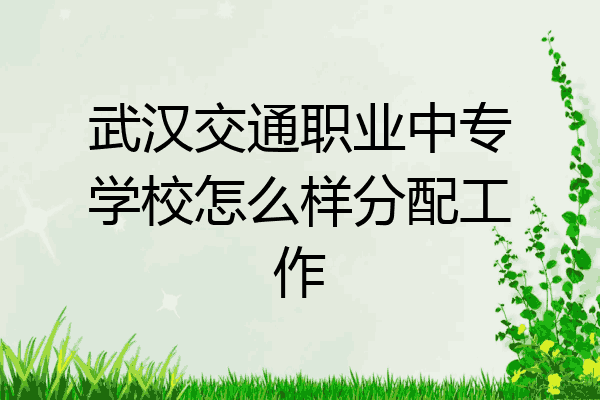 武汉交通职业中专学校怎么样分配工作