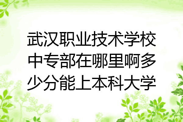 武汉职业技术学校中专部在哪里啊多少分能上本科大学