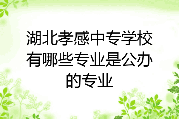 湖北孝感中专学校有哪些专业是公办的专业