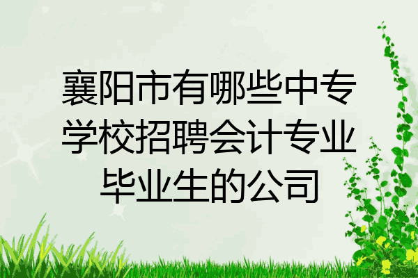 襄阳市有哪些中专学校招聘会计专业毕业生的公司