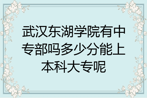 武汉东湖学院有中专部吗多少分能上本科大专呢