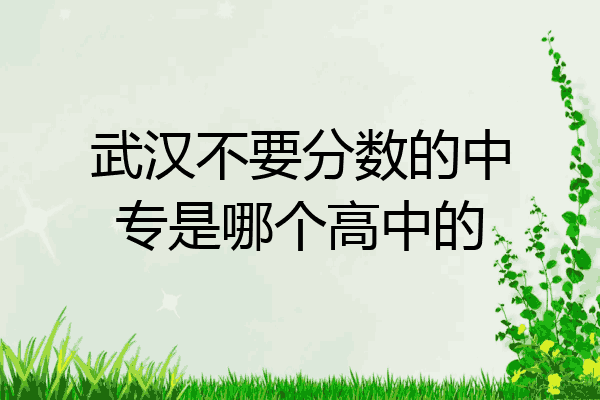 武汉不要分数的中专是哪个高中的