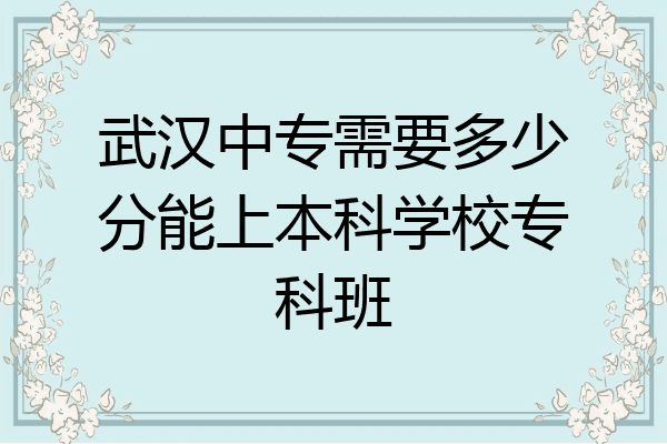 武汉中专需要多少分能上本科学校专科班