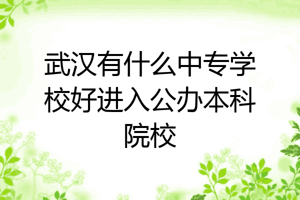 武汉有什么中专学校好进入公办本科院校