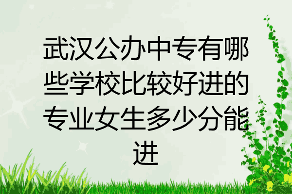 武汉公办中专有哪些学校比较好进的专业女生多少分能进