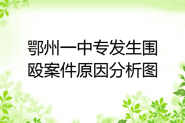 鄂州一中专发生围殴案件原因分析图