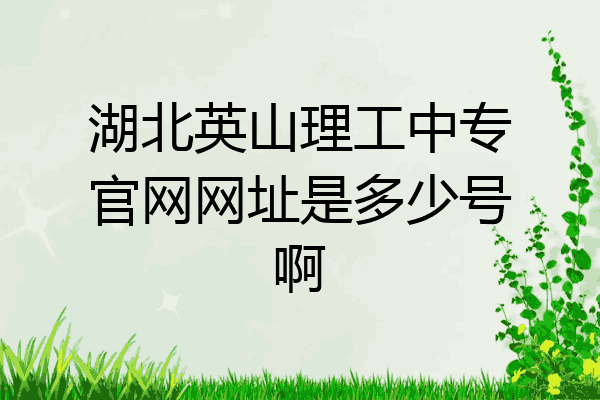 湖北英山理工中专官网网址是多少号啊