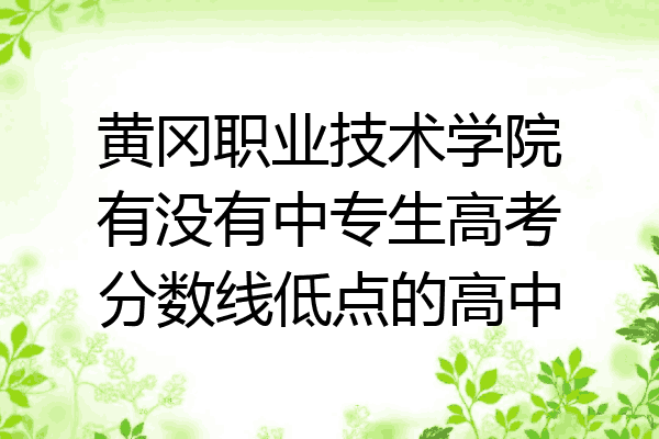黄冈职业技术学院有没有中专生高考分数线低点的高中