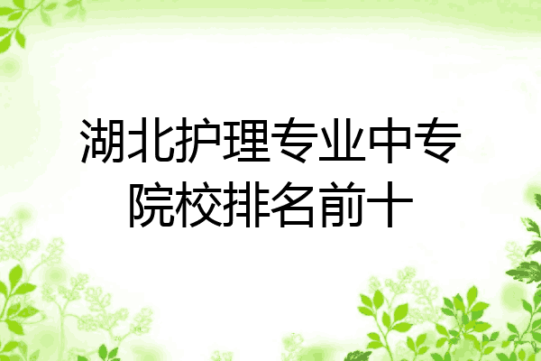 湖北护理专业中专院校排名前十