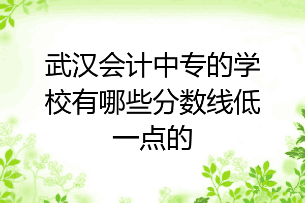 武汉会计中专的学校有哪些分数线低一点的