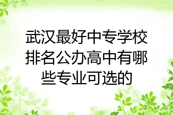 武汉最好中专学校排名公办高中有哪些专业可选的