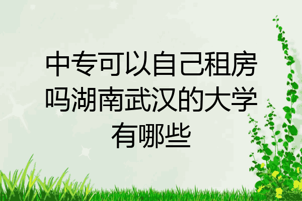 中专可以自己租房吗湖南武汉的大学有哪些