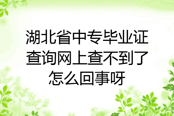 湖北省中专毕业证查询网上查不到了怎么回事呀