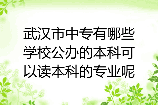 武汉市中专有哪些学校公办的本科可以读本科的专业呢
