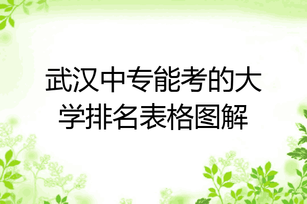 武汉中专能考的大学排名表格图解