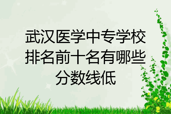 武汉医学中专学校排名前十名有哪些分数线低