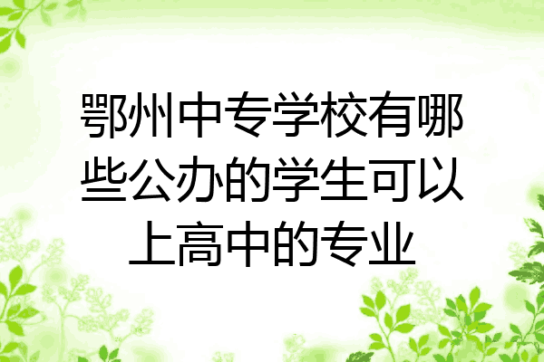 鄂州中专学校有哪些公办的学生可以上高中的专业