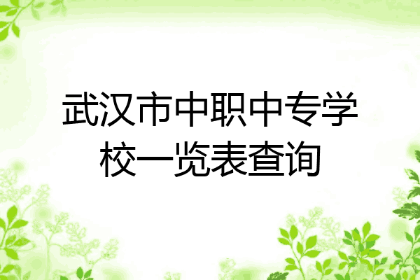 武汉市中职中专学校一览表查询