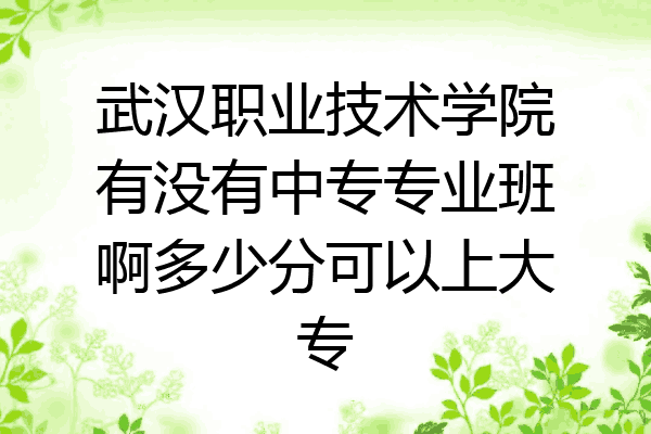 武汉职业技术学院有没有中专专业班啊多少分可以上大专