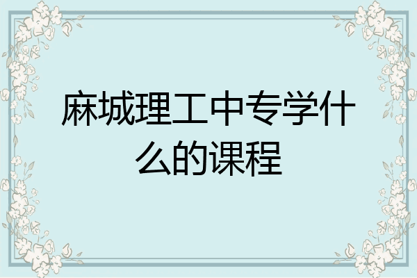 麻城理工中专学什么的课程