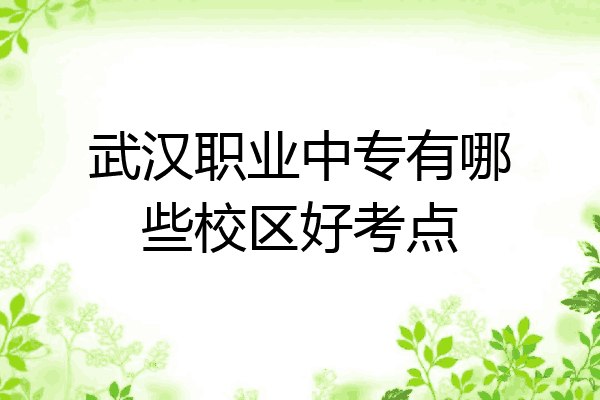 武汉职业中专有哪些校区好考点